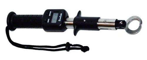 Evolution Digital Scale