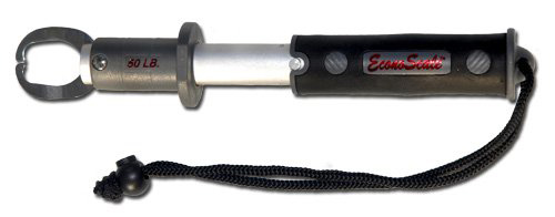 Evolution 50 lb. EconoScale