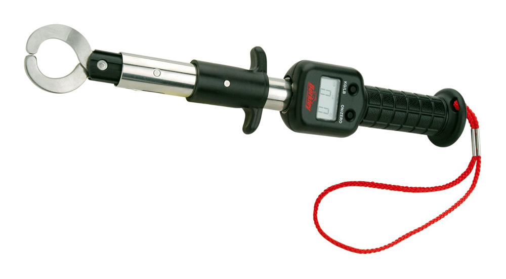 Berkley 14" Digital Scale