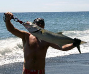 The Fisherman's Line